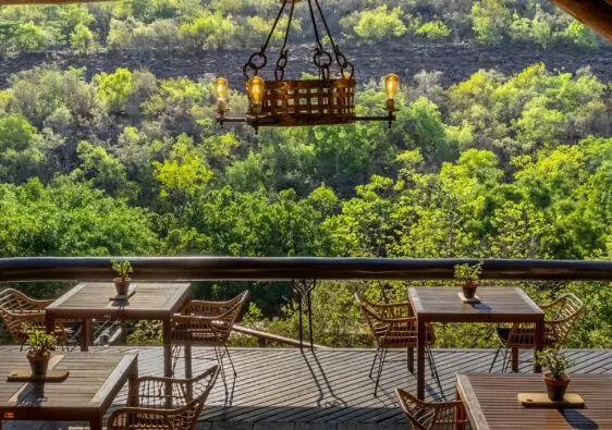 bush views sediba welgevonden game Lodge
