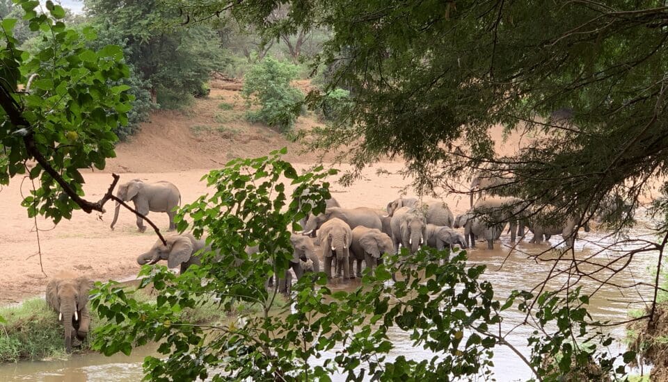TRavelbuddies in Kruger