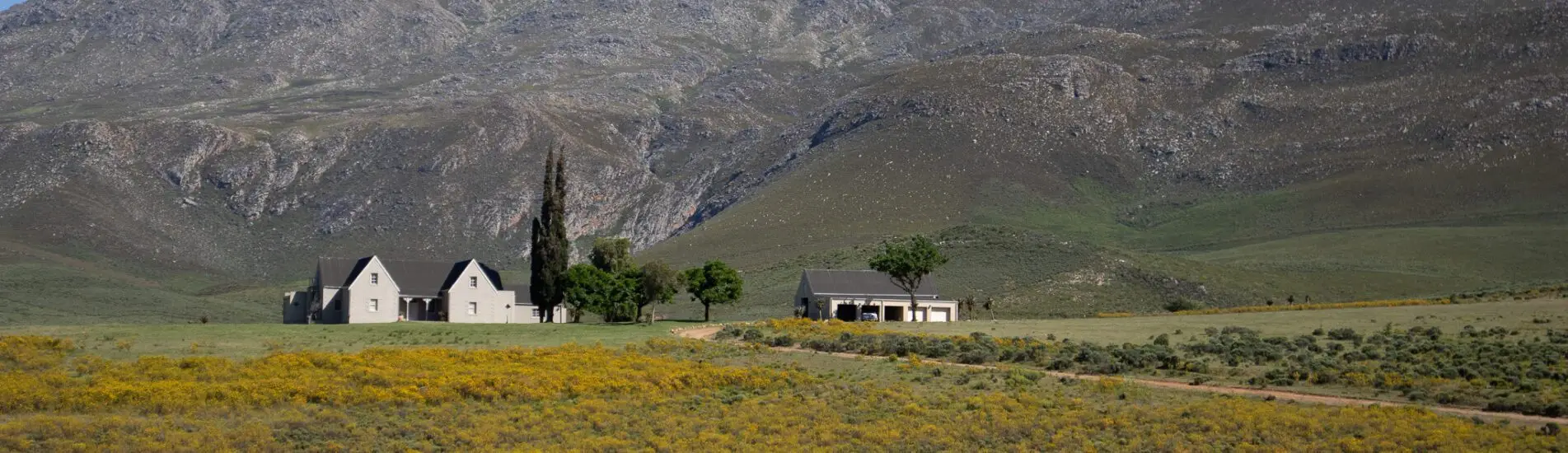 Swartberge Nature Reserve, Klein-karoo, Garden Route, South Africa