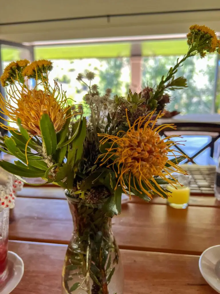 Proteas from the Klein Karoo in a vase on the tables
