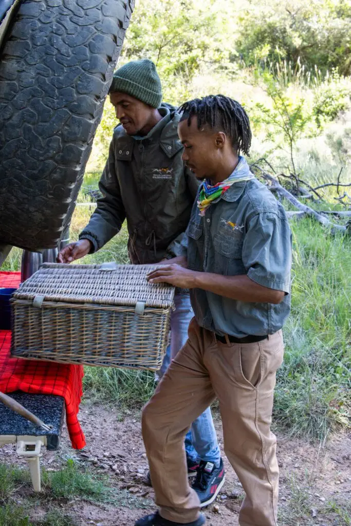Game ranger with basket for coffee break at a game reserve Wildehondekloof