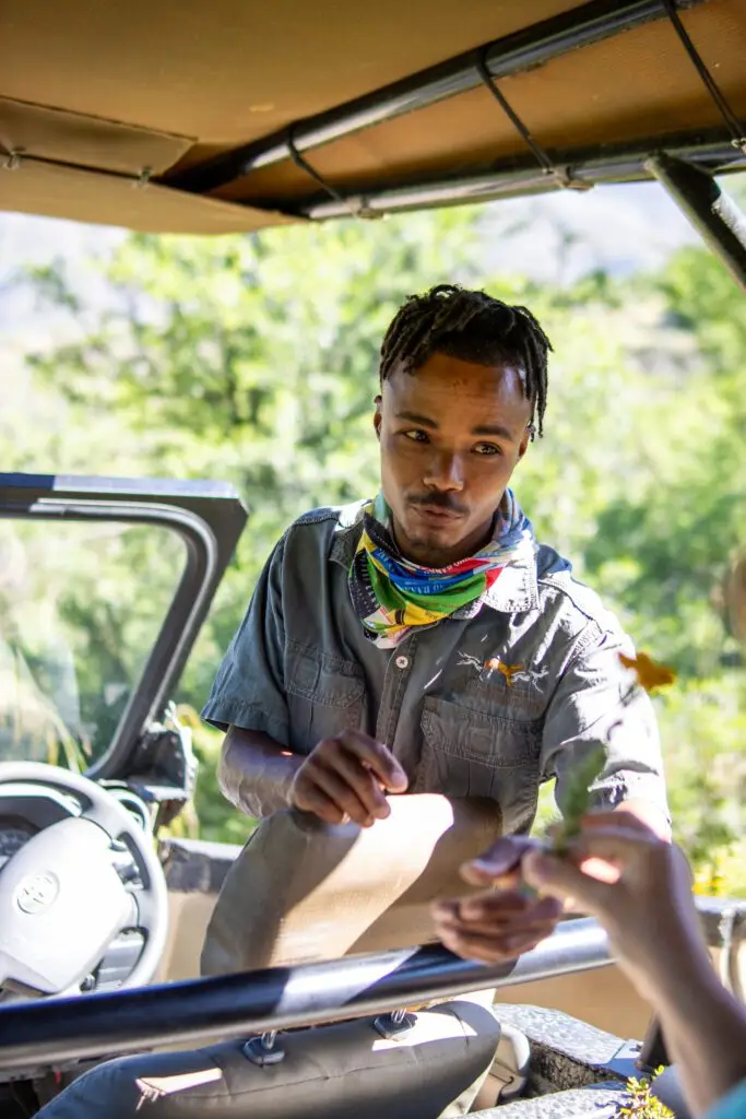Game Ranger sharing knowledge about the bush from a vehicle