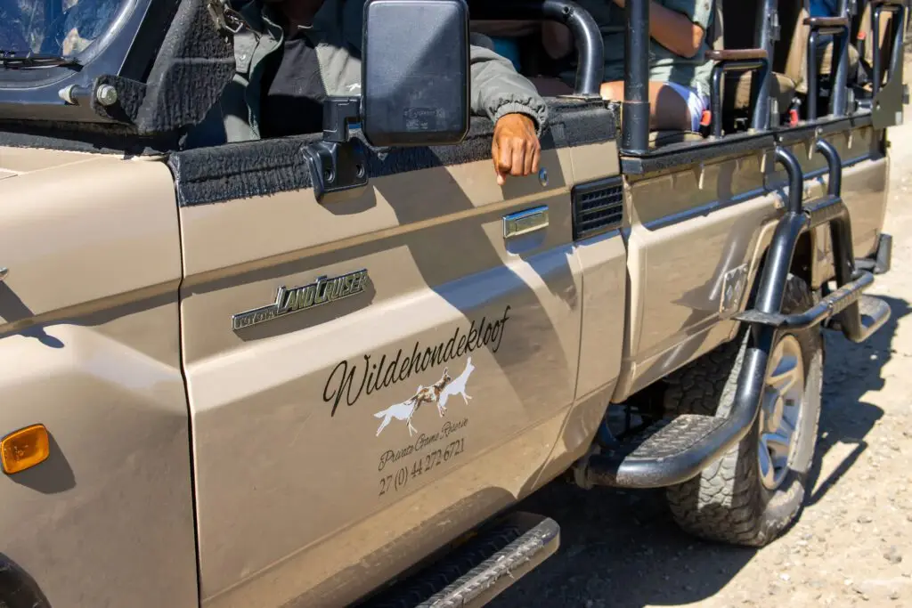 The game drive vehicle of Wildehondekloof