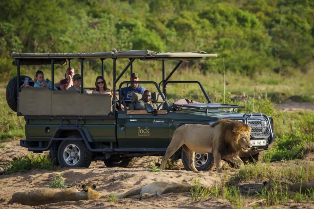 Jock Safari Lodge