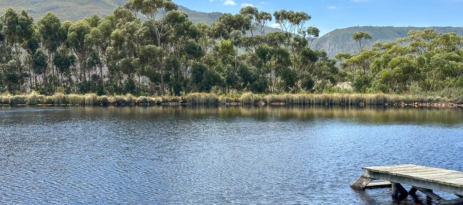 The picturesque dam on the estate where guests and swim or enjoy a picnic