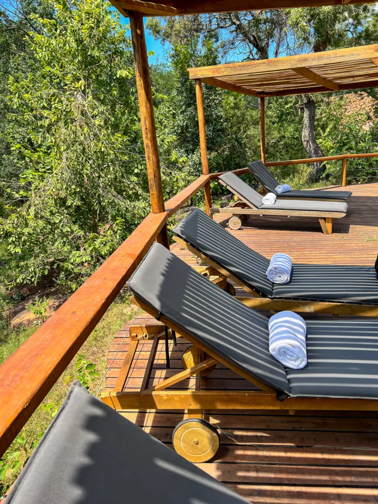 The comfortable pool loungers
