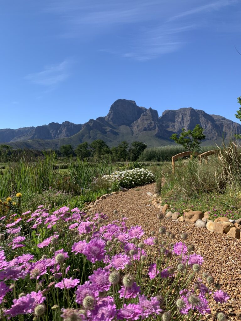 Boschendal, Franschhoek, Stellenbosch, Winefarm