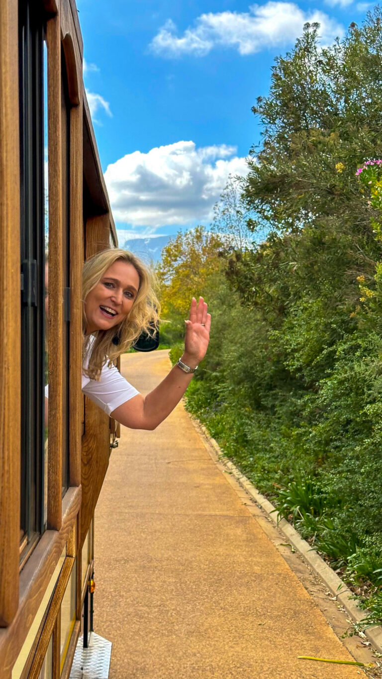 Bernie enjoying a tram ride on the Franschhoek estate