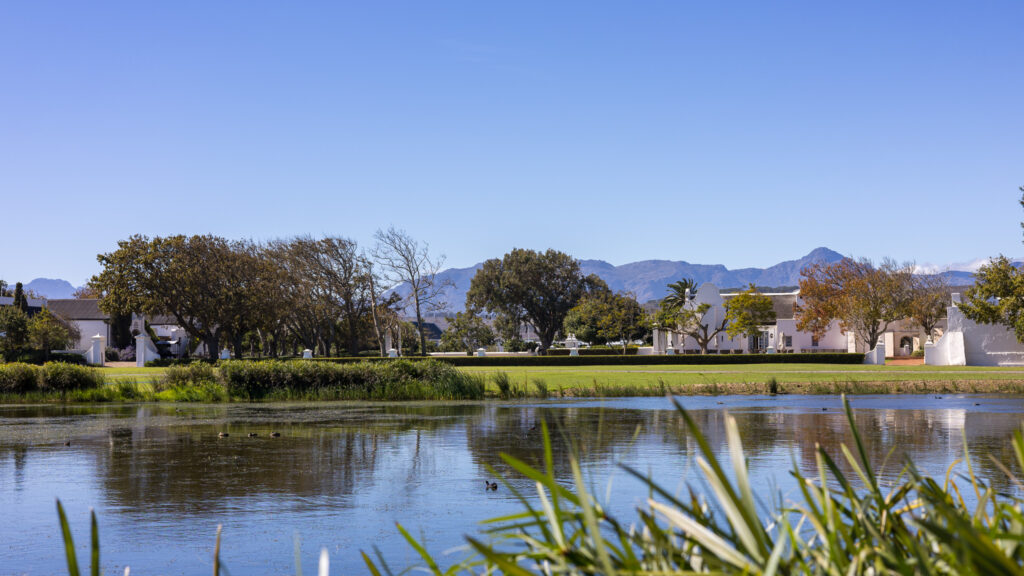 Vergenoegd Löw Estate near Stellenbosch