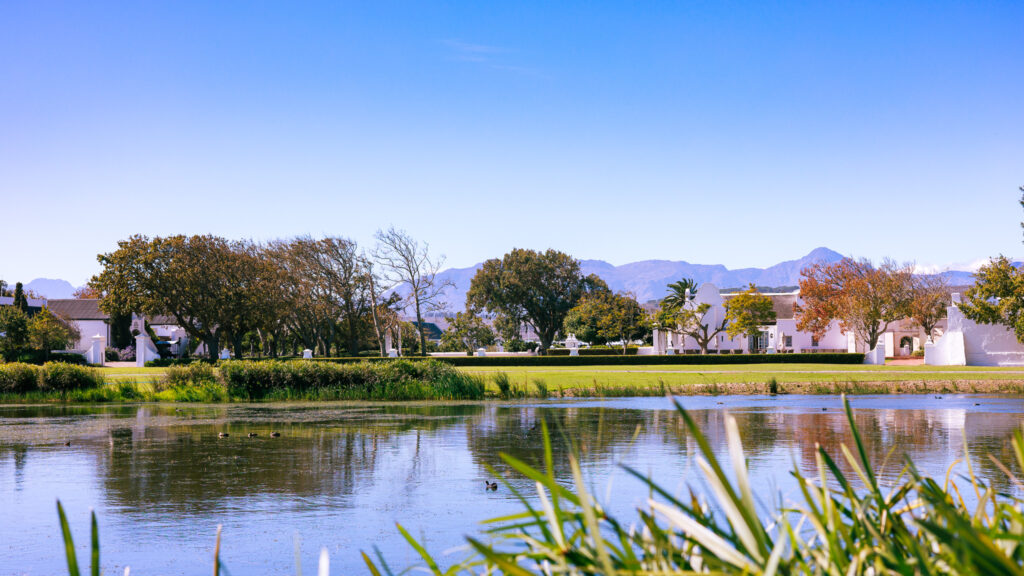 Vergenoegd Löw Estate near Stellenbosch