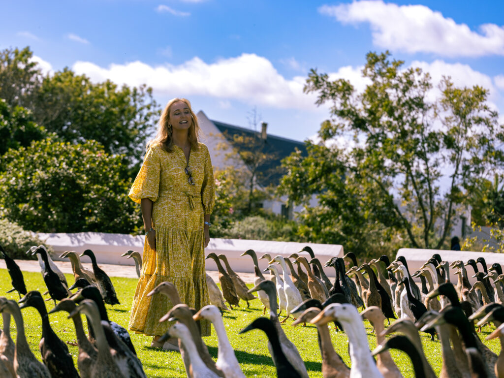 Bernie surrounded by the Indian Runner Ducks at Vergenoegd Boutique Hotel and Spa