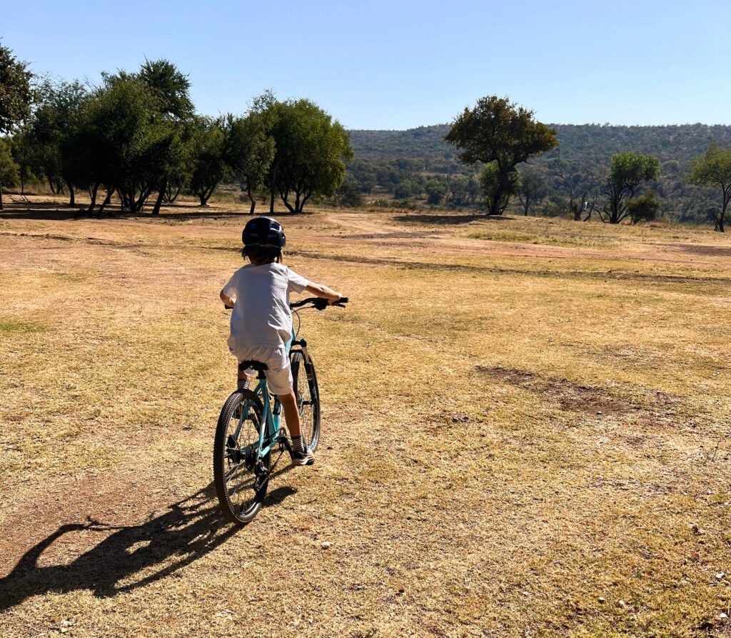 Cycling at Zebra Crossing, Mountainbiking , South Africa