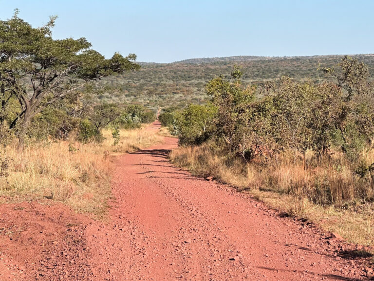Guided walking safaris Waterberg Biosphere, Welgevonden Game Reserve