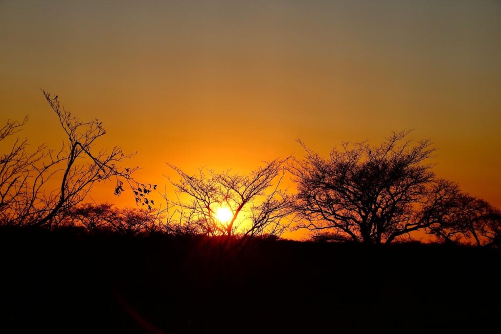 Spectacular sunset views in a Big 5 Game Reserve n South Africa. Sonnenuntergang im Big 5 Wildreservat in Südafrika