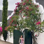 Weinfarm, Winefarm, Weingut, Peter Falke Wines