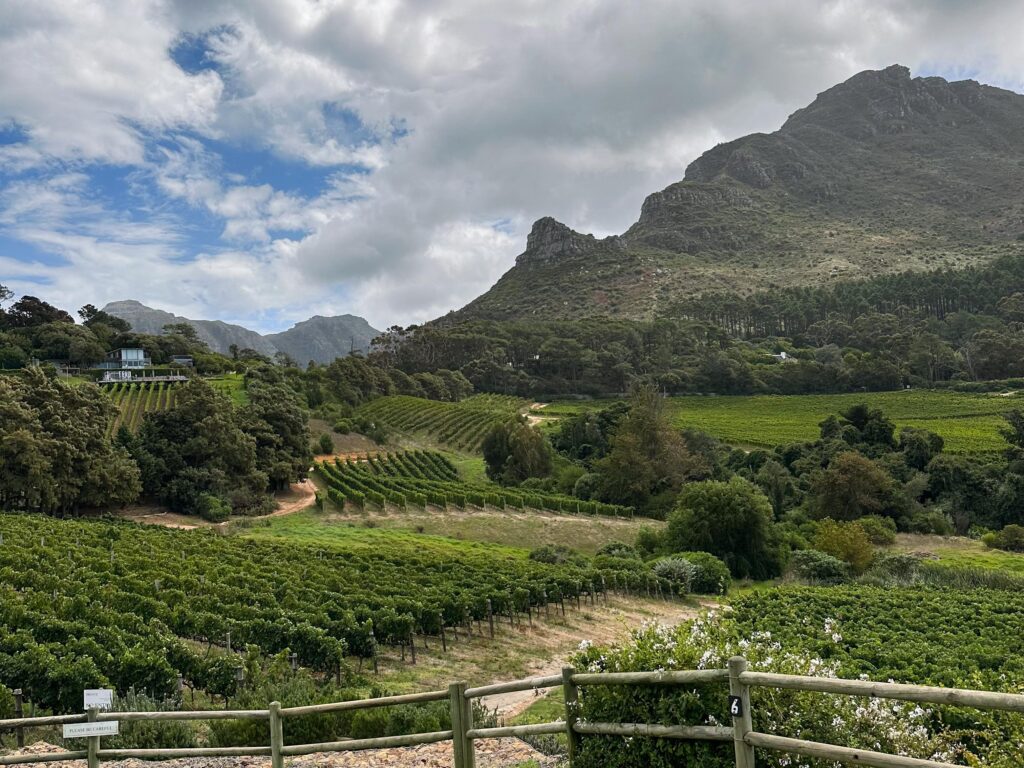 Constantia Cape Town, Kapstadt, landscape , Landschaft Kapstadt