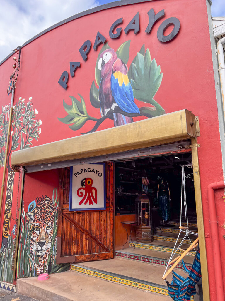 Papagao shop- front in Kalk Bay