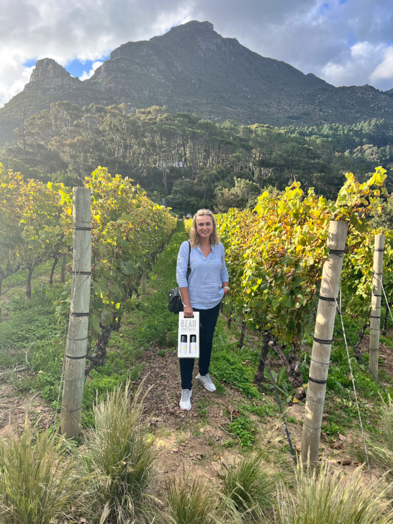 The vinyard with mountain views at Beau Constantia Wine Farm