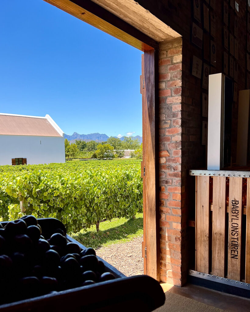 The Babylonstoren wine farm tasting room