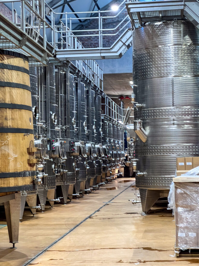 Babylonstoren cellar tour at the wine farm