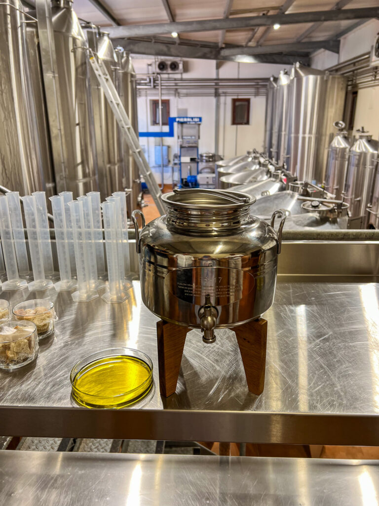 The Olive oil making tour at Babylonstoren