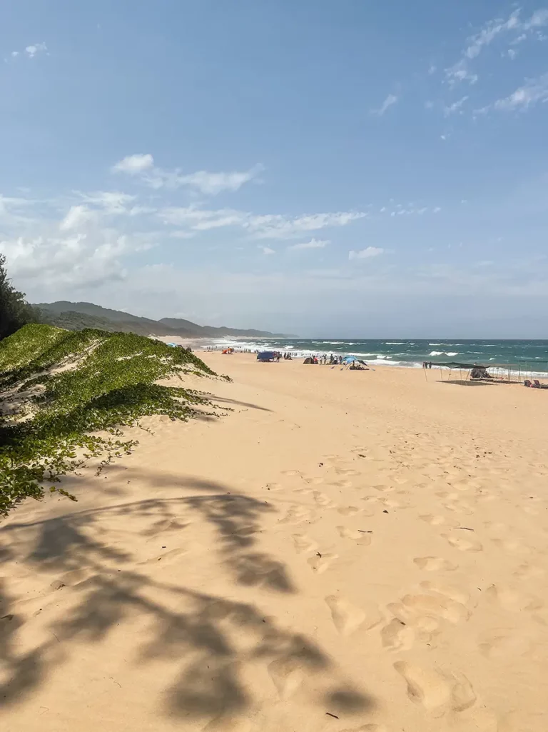 Beach views Cape Vidal, Kwa-Zulu Natal group tour