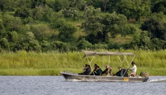 A boat cruise on the Okavango delta surrounded by aquatic wildlife