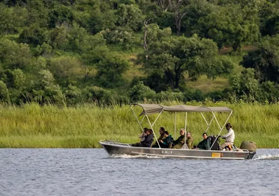 A boat cruise on the Okavango delta surrounded by aquatic wildlife