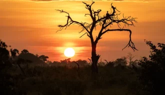 sunset in Africa