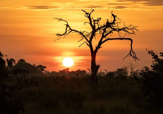 sunset in Africa