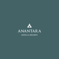 Our collab partners