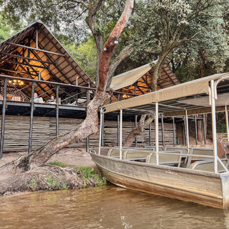 Masuwe Lodge: A Luxurious Escape into the Wild Heart of Zimbabwe