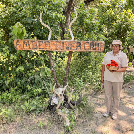 Ichingo Chobe River Lodge: A trip to Namibia
