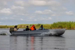 A river boat on the Okavango delta