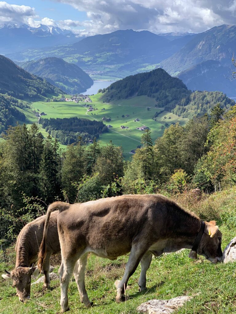 Bürgenstock, Lake Lucerne, Switzerland
