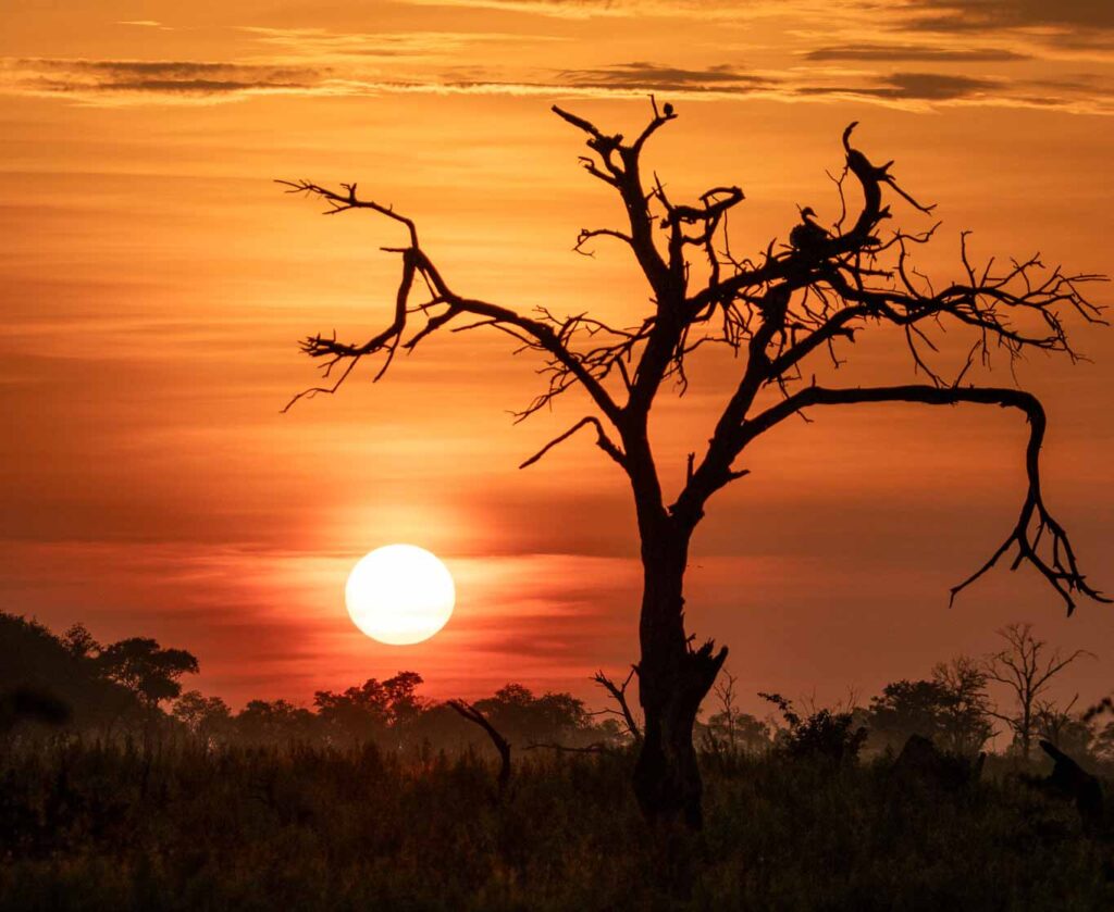 Sunset over Africa